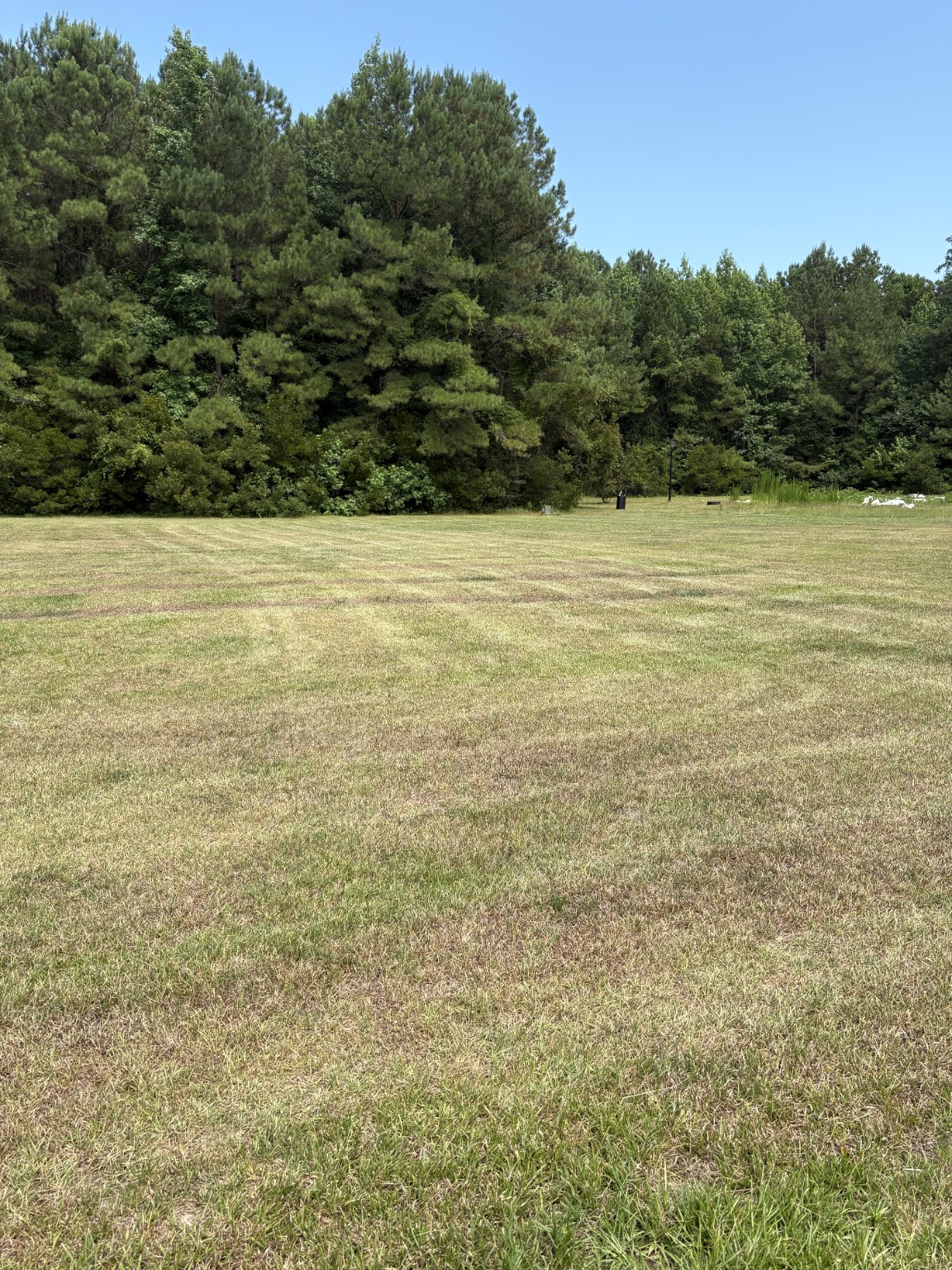 Large property after mowing service