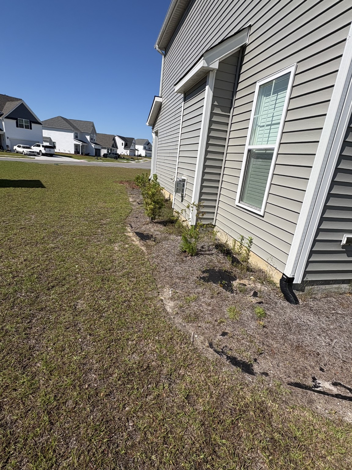 Landscape bed before fresh mulch installation