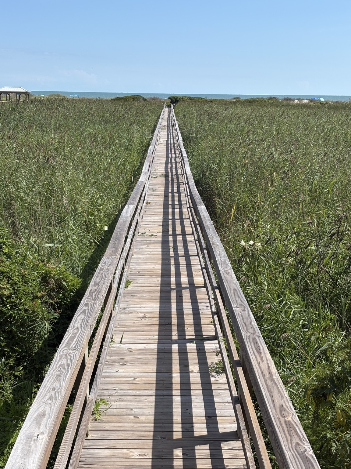 Wooden walkway clear of overgrowth after service
