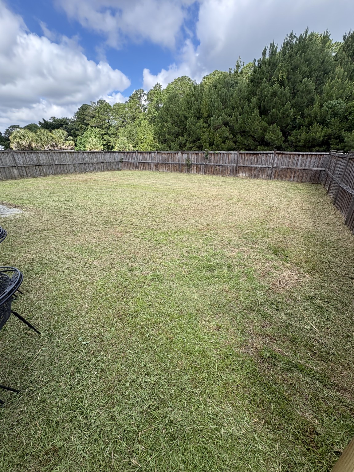 Same backyard neatly cut after cleanup